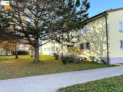 Anlageobjekt kaufen in 2345 Brunn