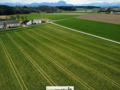 Gewerbeobjekt kaufen in 4654 Bad Wimsbach (Bild 2)