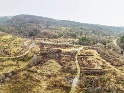 Grundstück kaufen in 7461 Goberling (Bild 3)