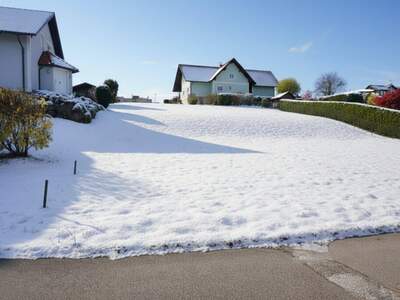Grundstück kaufen in 8054 Mantscha