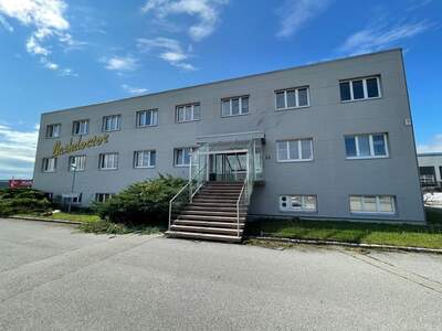 Gewerbeobjekt mieten in 2345 Brunn (Bild 1)