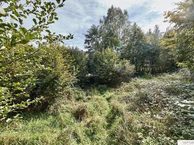 Grundstück kaufen in 3031 Pressbaum (Bild 3)