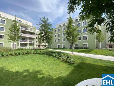 Terrassenwohnung mieten in 3451 Michelhausen (Bild 2)