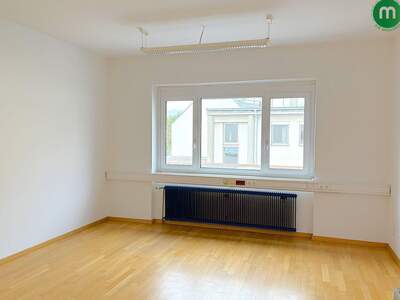 Gewerbeobjekt mieten in 1220 Wien (Bild 5)