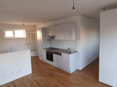 Terrassenwohnung mieten in 8053 Graz (Bild 3)