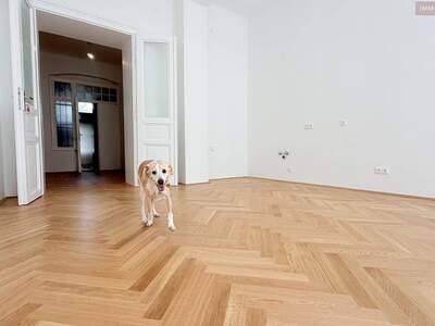 Anlageobjekt kaufen in 1020 Wien