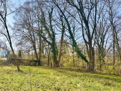 Grundstück kaufen in 3400 Klosterneuburg (Bild 2)