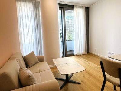 Terrassenwohnung mieten in 1220 Wien (Bild 2)