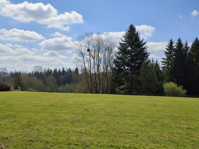 Grundstück kaufen in 4780 Schärding