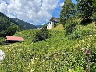 Grundstück kaufen in 5752 Viehhofen