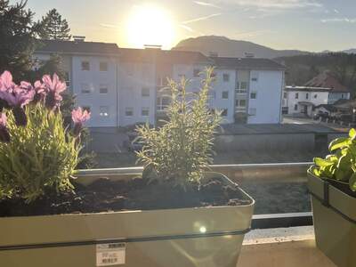 Apartment provisionsfrei kaufen in 9584 Finkenstein