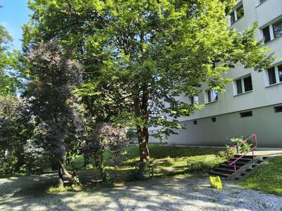 Terrassenwohnung kaufen in 1230 Wien (Bild 5)