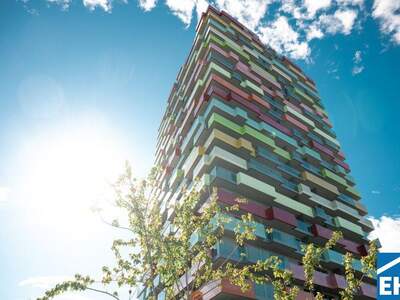 Terrassenwohnung mieten in 1200 Wien (Bild 5)