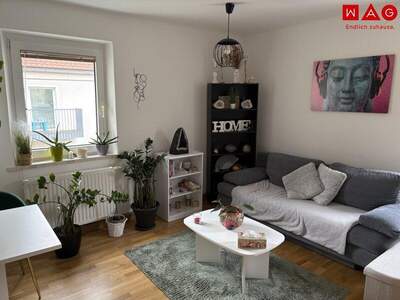 Mietwohnung in 4400 Steyr (Bild 3)