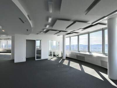 Gewerbeobjekt mieten in 1200 Wien (Bild 3)