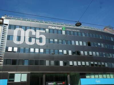 Gewerbeobjekt mieten in 1050 Wien (Bild 2)