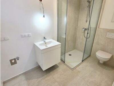 Terrassenwohnung kaufen in 1230 Wien (Bild 3)