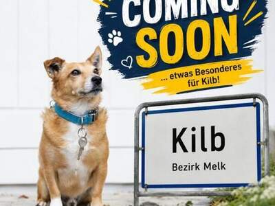 Haus kaufen in 3233 Kilb