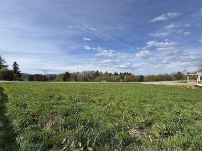 Grundstück kaufen in 8452 Großklein (Bild 2)