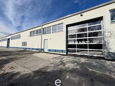 Gewerbeobjekt mieten in 2345 Brunn (Bild 5)