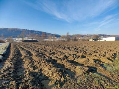 Grundstück kaufen in 8311 Markt Hartmannsdorf