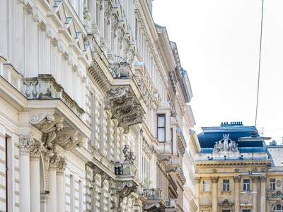 Terrassenwohnung mieten in 1040 Wien (Bild 4)