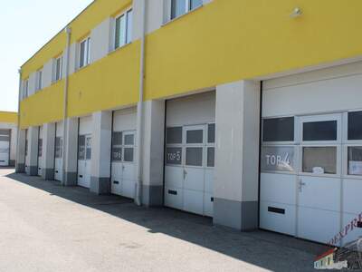Halle / Lager / Produktion mieten in 2401 Fischamend (Bild 1)