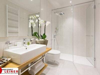 Terrassenwohnung mieten in 1110 Wien (Bild 2)