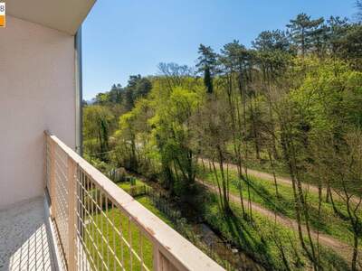 Wohnung kaufen in 2391 Kaltenleutgeben