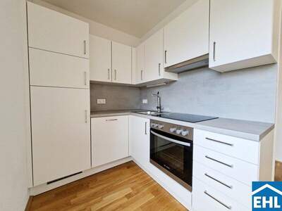 Terrassenwohnung mieten in 1120 Wien (Bild 3)