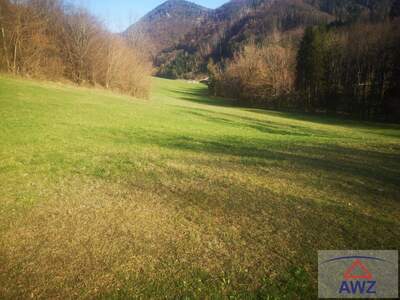 Gewerbeobjekt kaufen in 3153 Gem. Eschenau