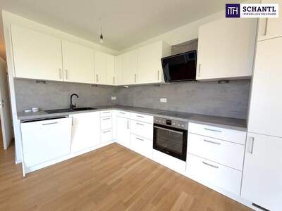 Terrassenwohnung kaufen in 1220 Wien (Bild 4)