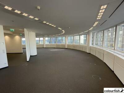 Gewerbeobjekt mieten in 1220 Wien (Bild 2)