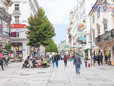 Einzelhandel mieten in 1010 Wien