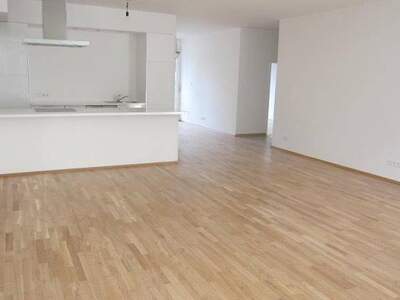 Wohnung provisionsfrei mieten in 1180 Wien