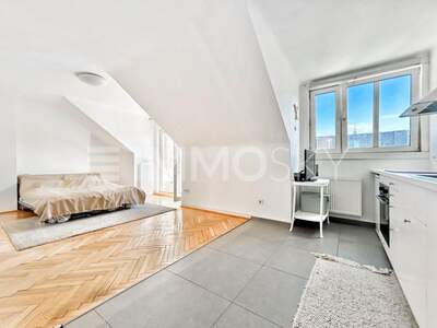 Terrassenwohnung kaufen in 1020 Wien (Bild 4)