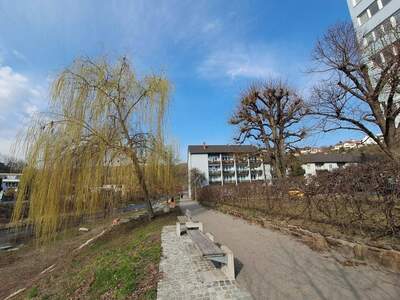 Wohnung mieten in 3500 Krems