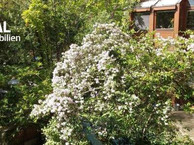 Terrassenwohnung kaufen in 2340 Mödling (Bild 1)