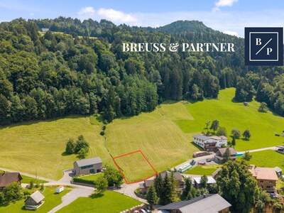 Grundstück kaufen in 6835 Zwischenwasser