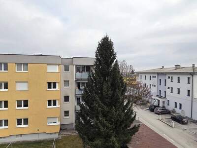 Anlageobjekt kaufen in 4320 Perg