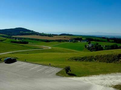 Gewerbeobjekt mieten in 4201 Gramastetten (Bild 3)