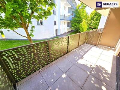 Wohnung kaufen in 1230 Wien (Bild 1)