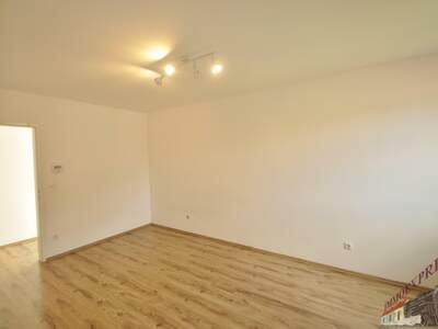 Wohnung mieten in 3021 Pressbaum (Bild 4)