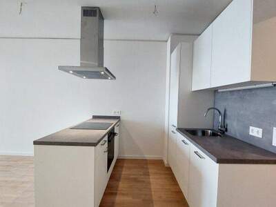 Terrassenwohnung mieten in 1220 Wien (Bild 1)