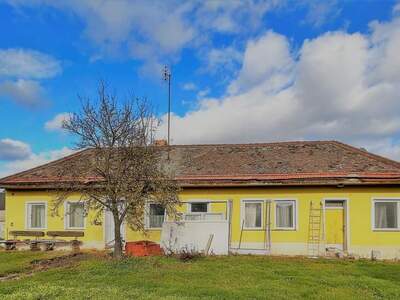 Haus kaufen in 2054 Haugsdorf