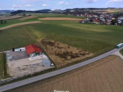 Gewerbeobjekt kaufen in 4692 Oberau (Bild 2)