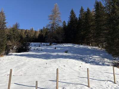 Grundstück kaufen in 9862 Innerkrems (Bild 2)