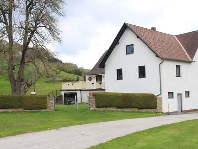 Haus kaufen in 2852 Kirchschlagl