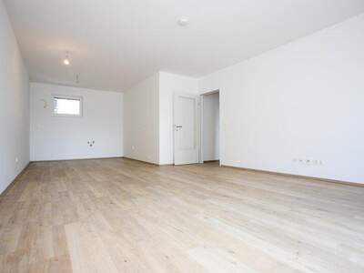 Terrassenwohnung kaufen in 2700 Wr. Neustadt (Bild 2)