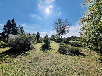 Grundstück kaufen in 2551 Enzesfeld